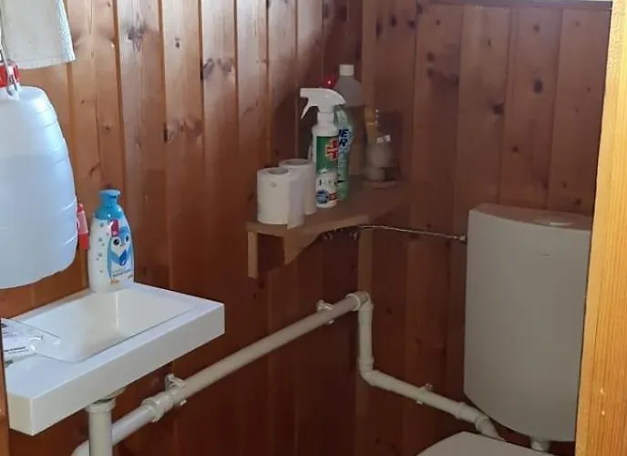 Almhuette - Roadlhuette * Dorflach