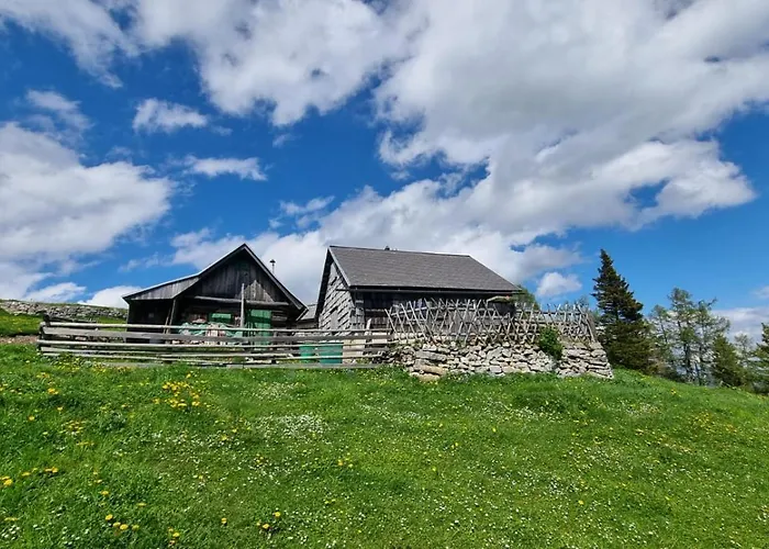 Almhuette - Roadlhuette 公寓